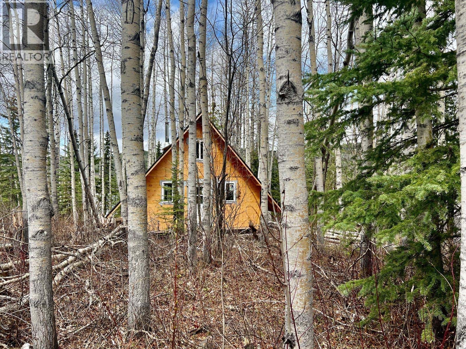 5095 TEAL ROAD — Burns Lake, British Columbia - Photo 4 of 8