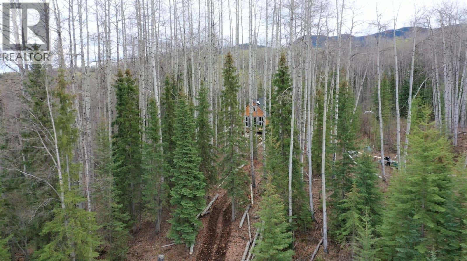 5095 TEAL ROAD — Burns Lake, British Columbia - Photo 2 of 8