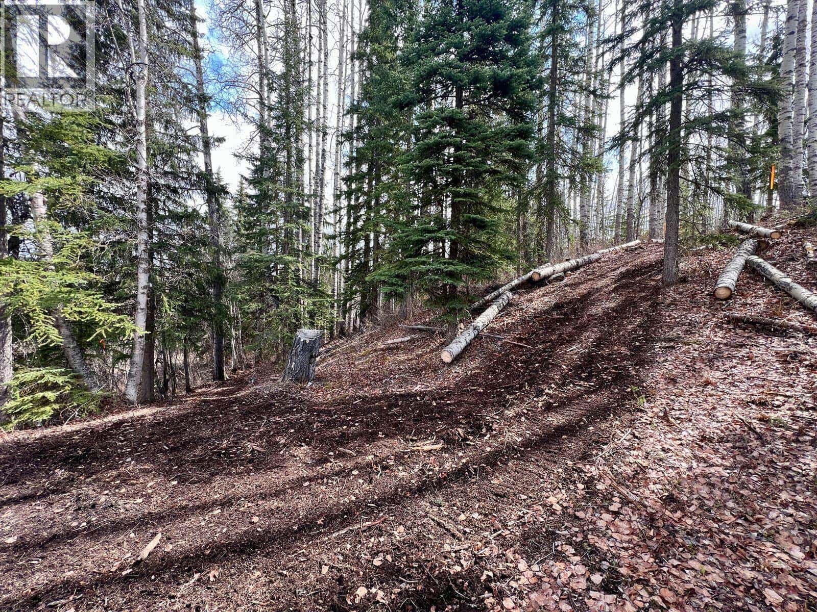 5095 TEAL ROAD — Burns Lake, British Columbia - Photo 5 of 8