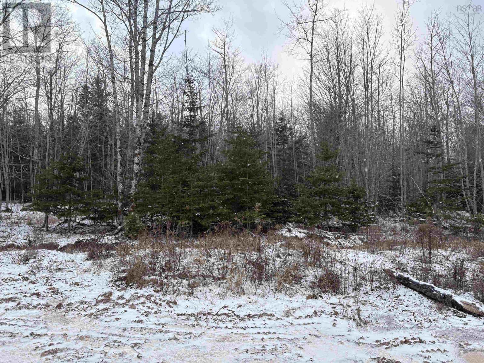 44 Amelia Ave — Stewiacke, Nova Scotia - Photo 4 of 5