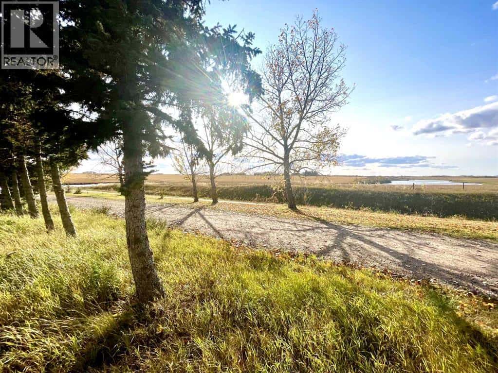 4834 59 Street — Killam, Alberta - Photo 3 of 6