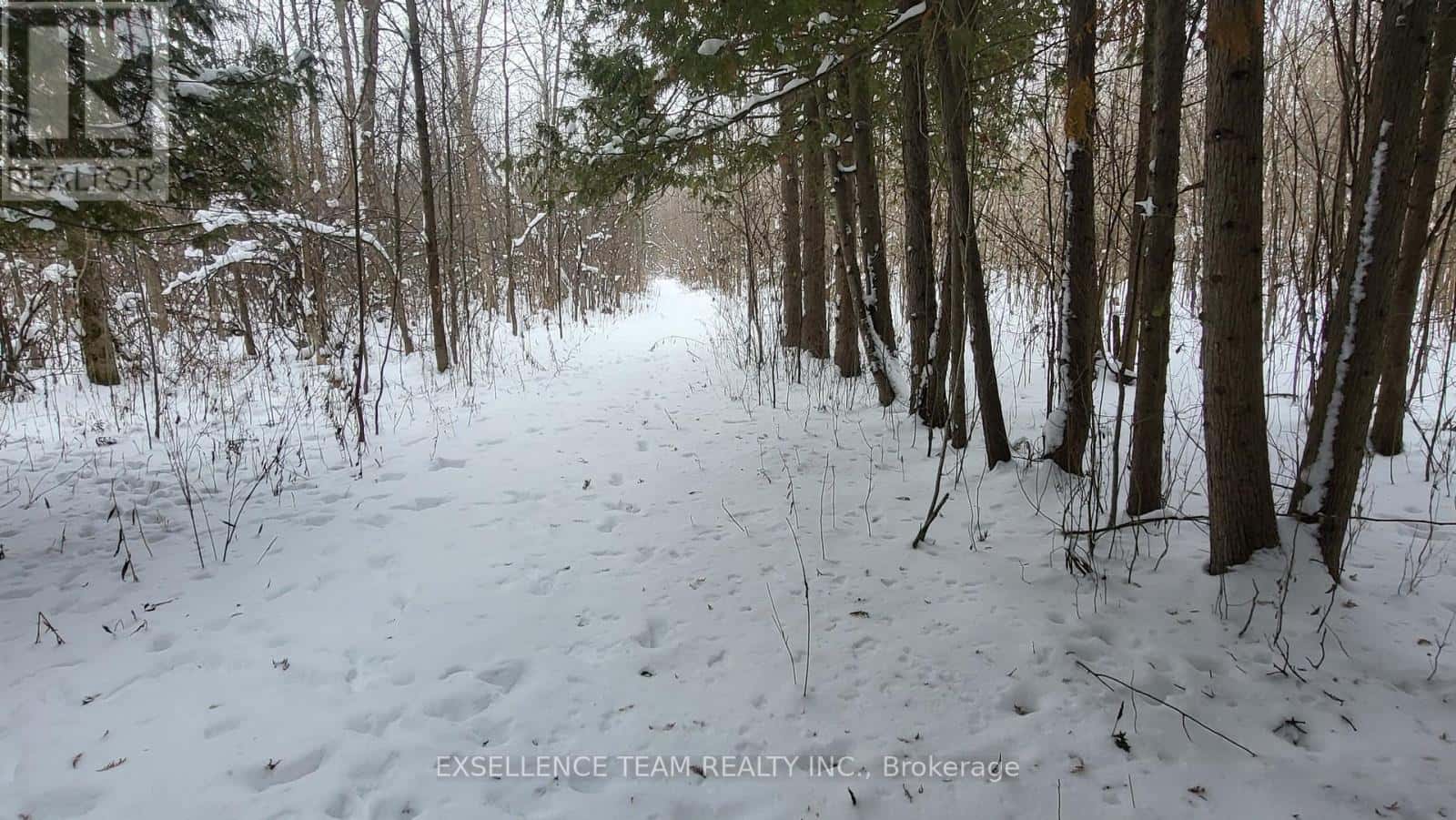 0 RAYMOND ROAD — South Stormont, Ontario - Photo 3 of 46