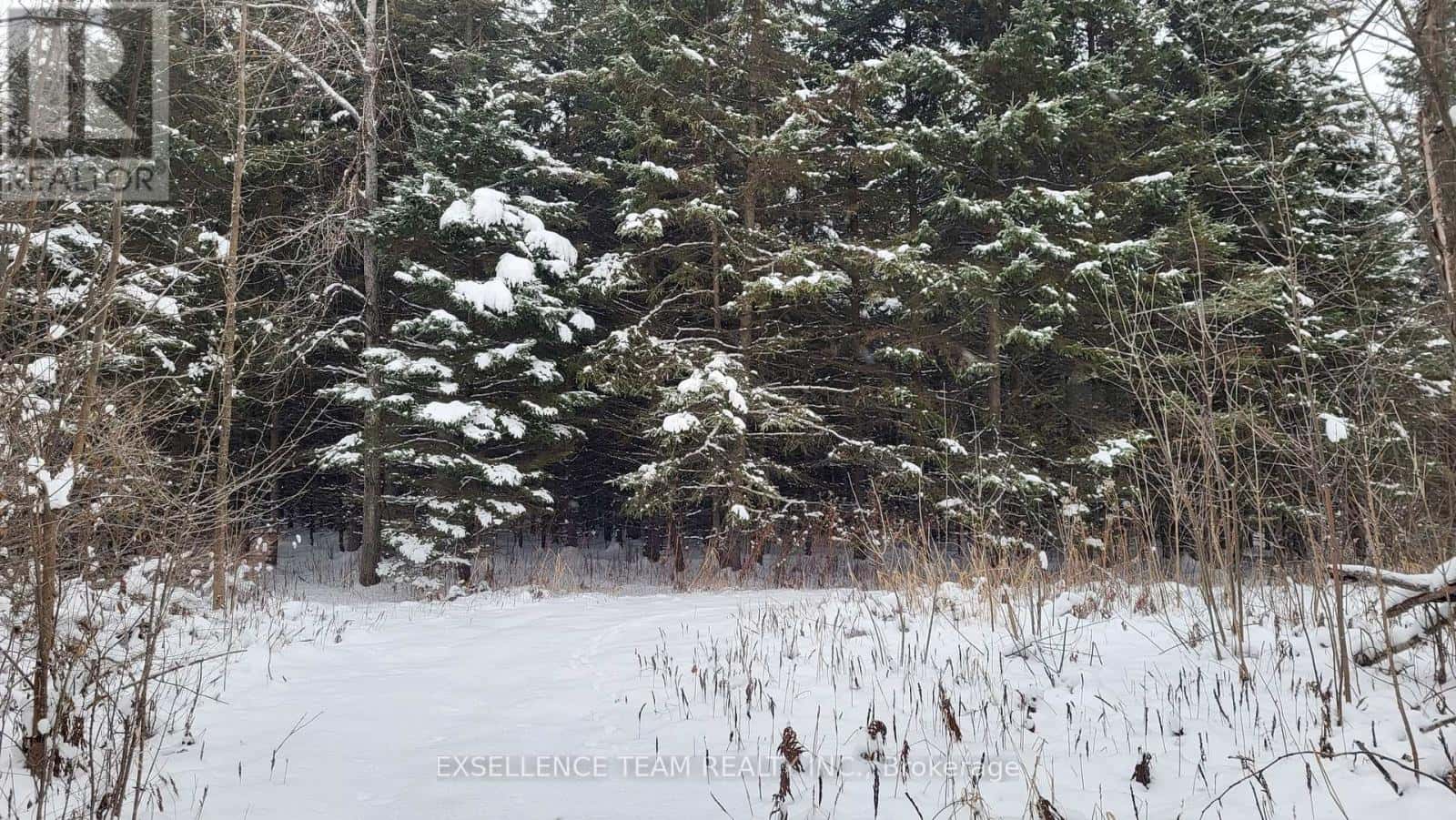 0 RAYMOND ROAD — South Stormont, Ontario - Photo 4 of 46