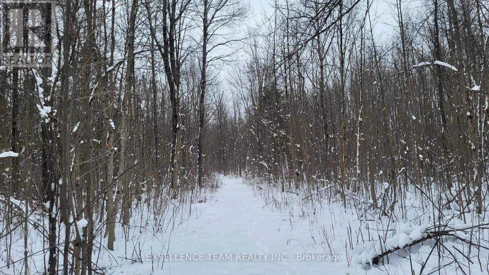 0 RAYMOND ROAD — South Stormont, Ontario - Photo 5 of 46