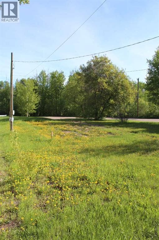 307 3rd Street SE — Manning, Alberta - Main photo