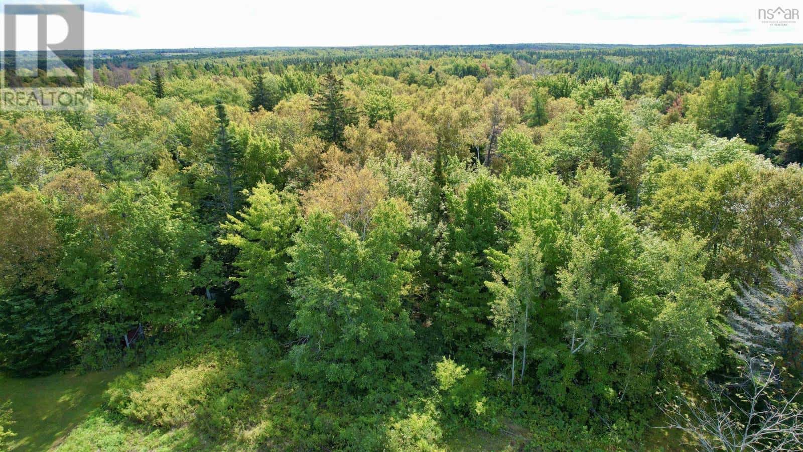 Gardiner Mines — Gardiner Mines - Photo 3 of 10