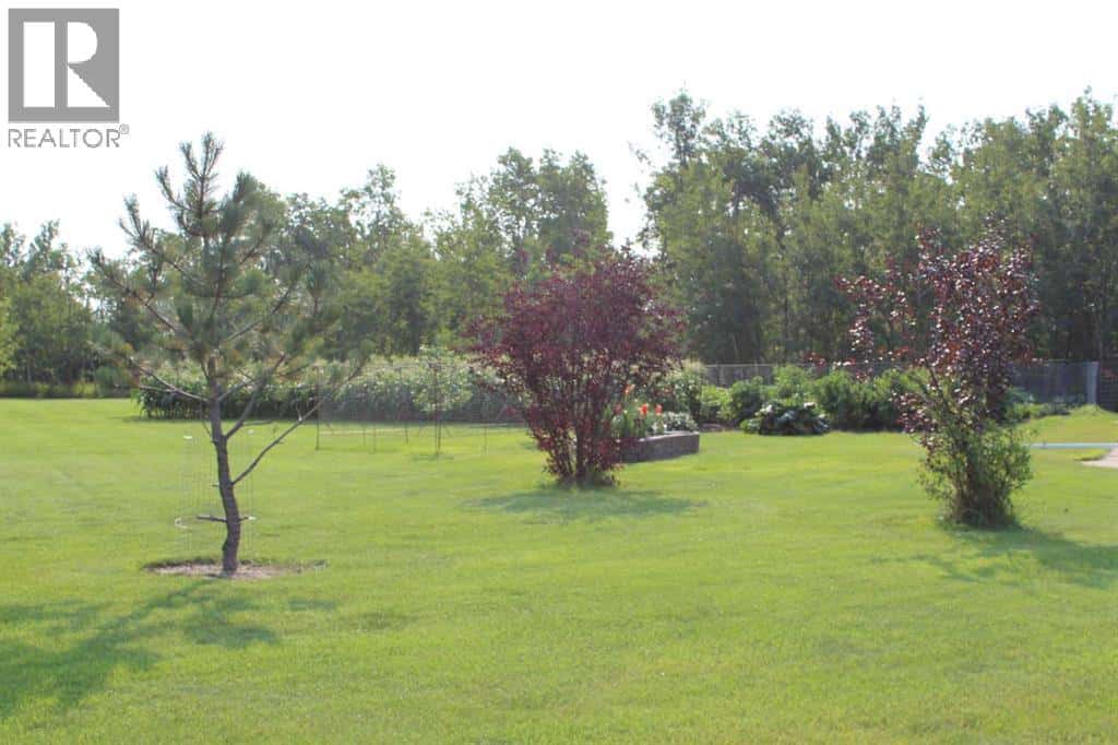 725 7th Avenue NW — Manning, Alberta - Photo 4 of 43