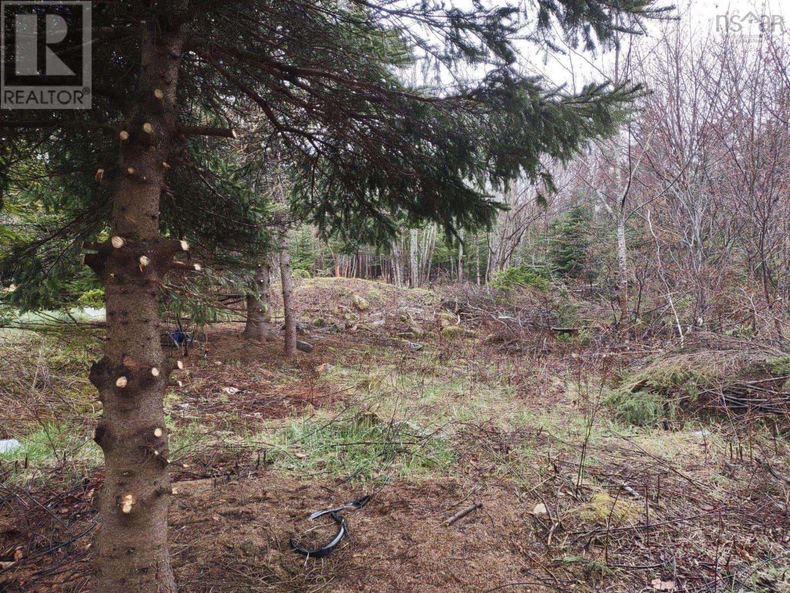 1218 St Margarets Bay Road — Beechville, Nova Scotia - Photo 2 of 17