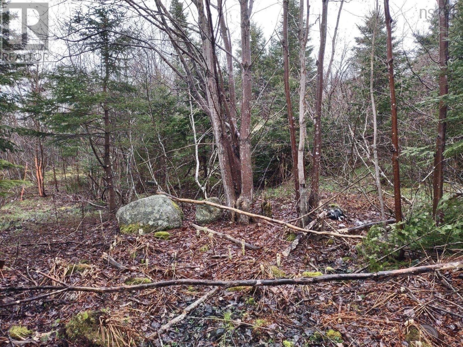 1218 St Margarets Bay Road — Beechville, Nova Scotia - Main photo