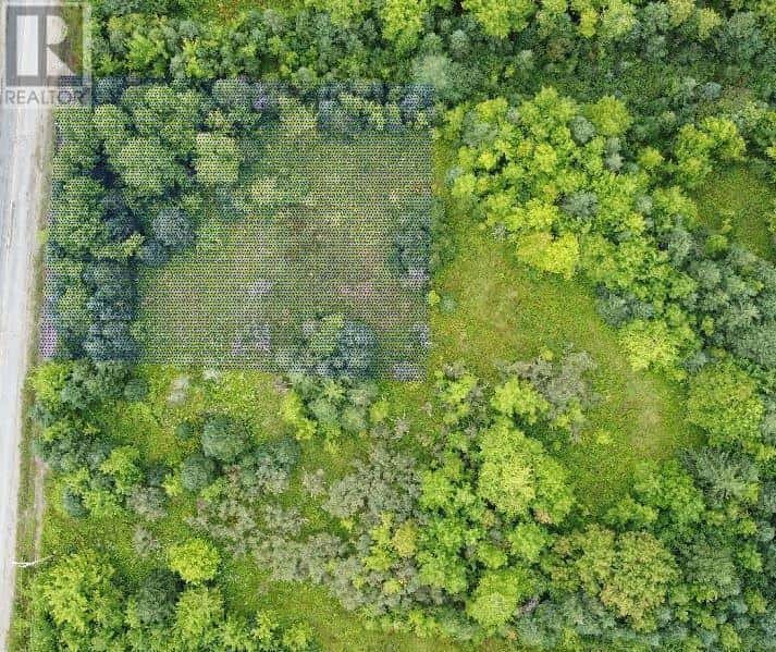 Lot 27 & 28 Phillop Street — Port Hastings, Nova Scotia - Photo 3 of 5