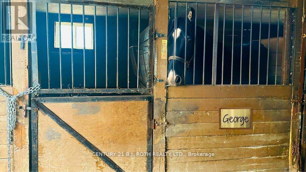 159 11 LINE N — Oro-Medonte, Ontario - Photo 5 of 16