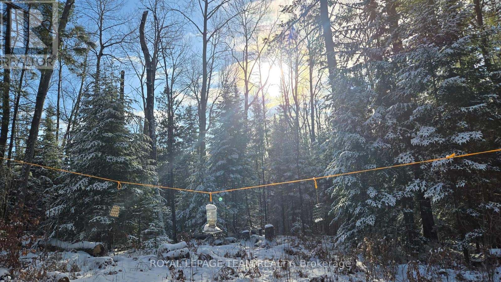 00 HIGHWAY 41 HIGHWAY — Bonnechere Valley, Ontario - Photo 2 of 39