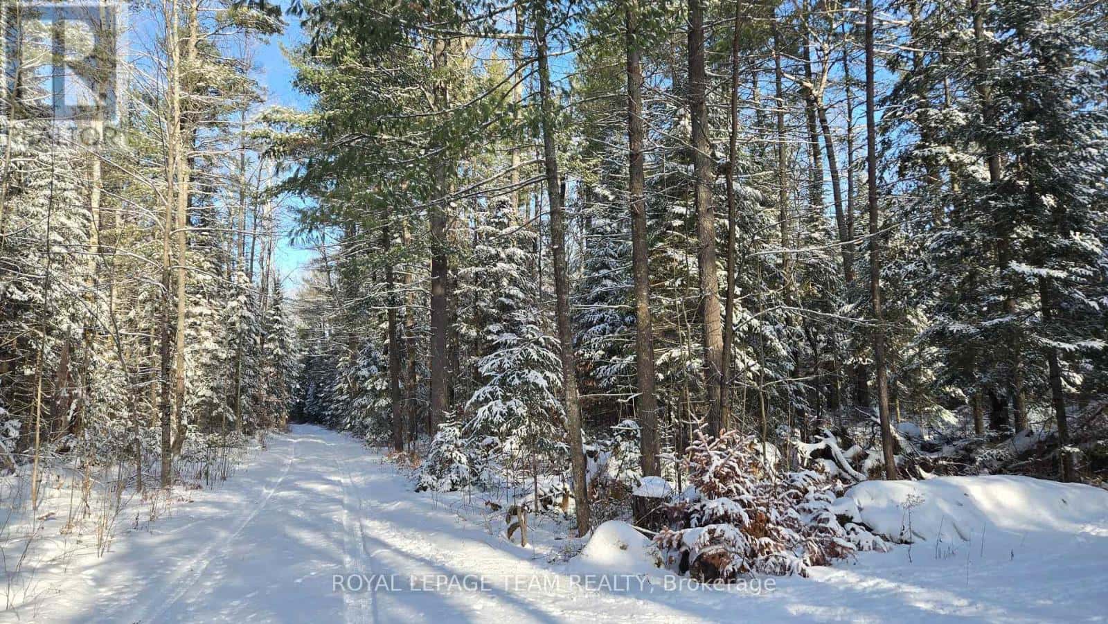 00 HIGHWAY 41 HIGHWAY — Bonnechere Valley, Ontario - Photo 3 of 39