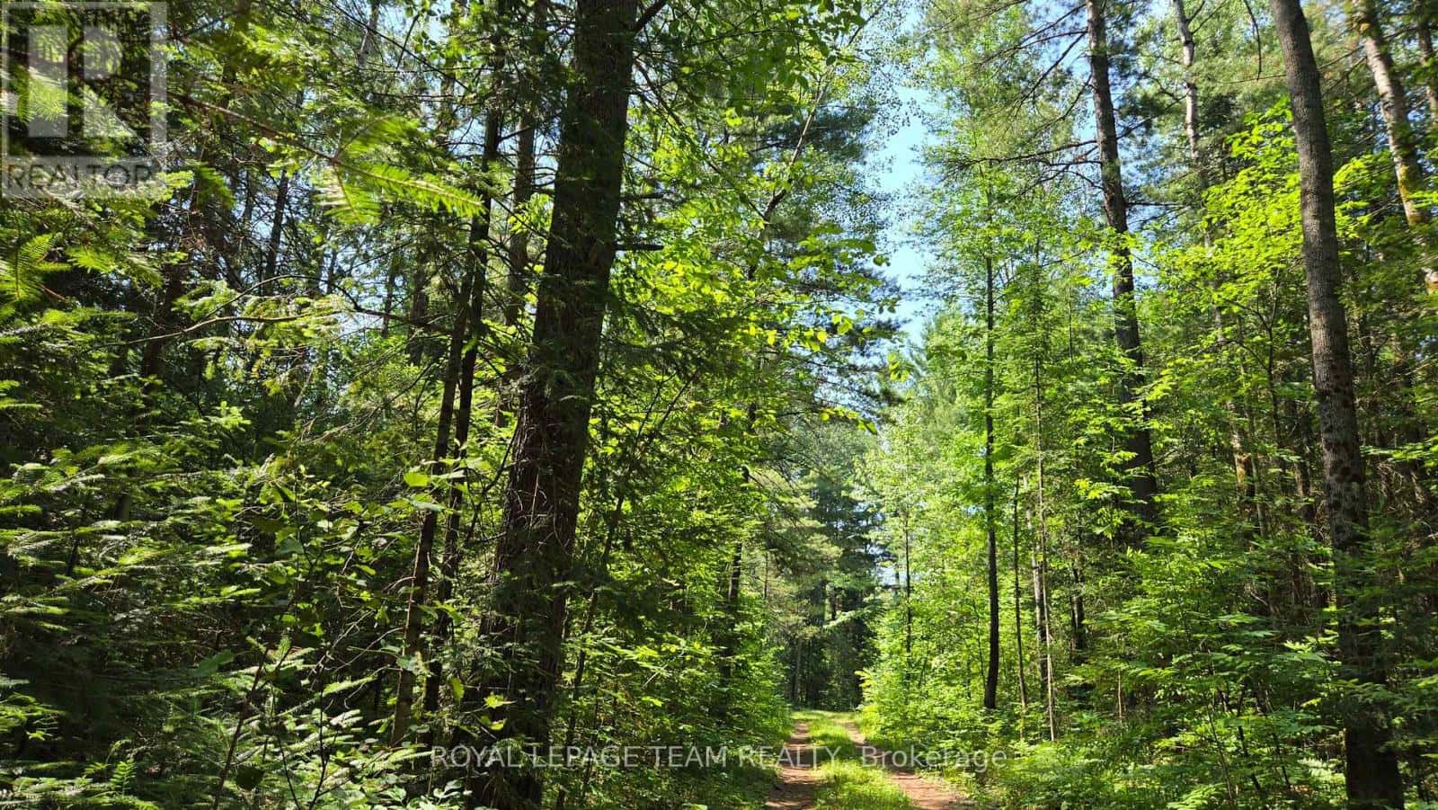 00 HIGHWAY 41 HIGHWAY — Bonnechere Valley, Ontario - Photo 4 of 39