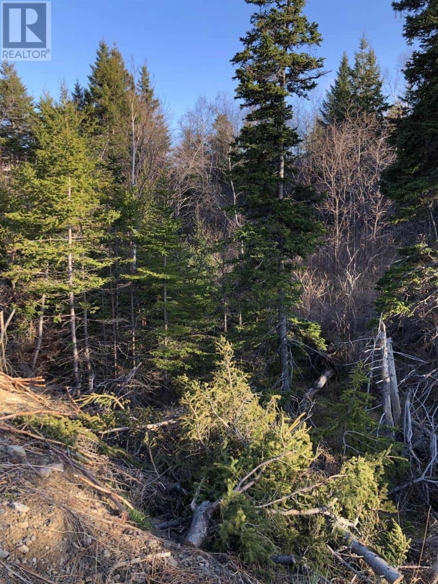 Lots 14 & 15 Highview & Clough Ave — Port Hastings, Nova Scotia - Photo 2 of 12