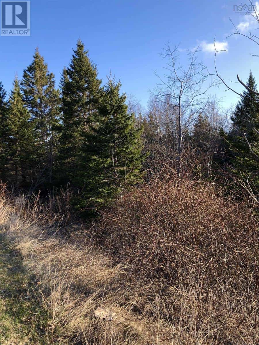 Lots 14 & 15 Highview & Clough Ave