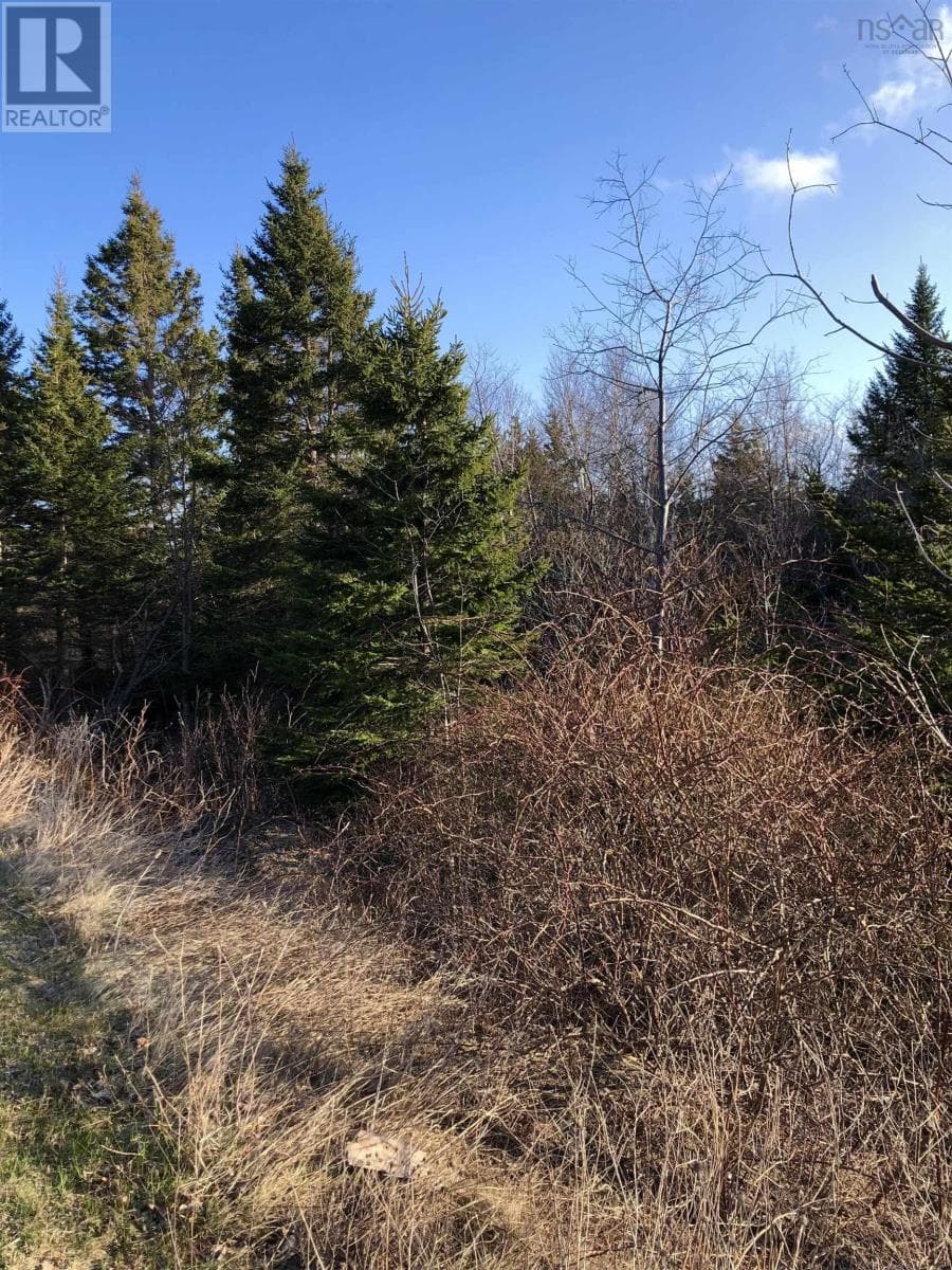 Lots 14 & 15 Highview & Clough Ave — Port Hastings, Nova Scotia - Main photo