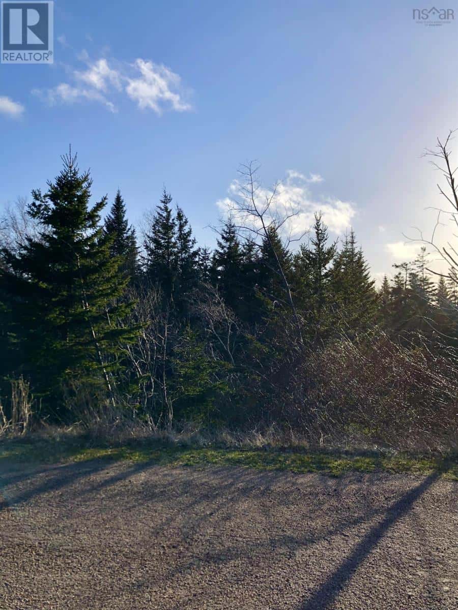 Lots 14 & 15 Highview & Clough Ave — Port Hastings, Nova Scotia - Photo 4 of 12