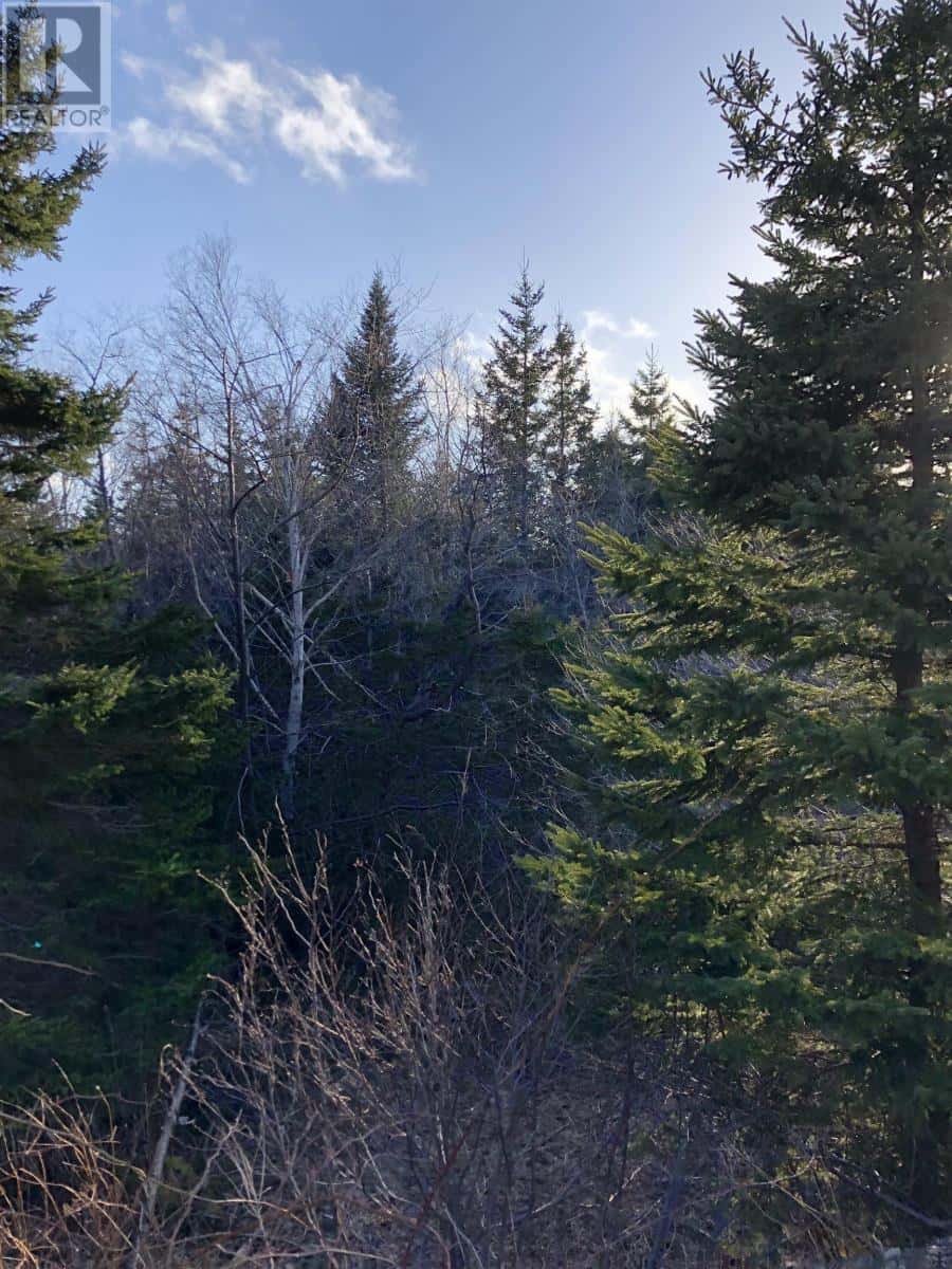 Lots 14 & 15 Highview & Clough Ave — Port Hastings, Nova Scotia - Photo 5 of 12