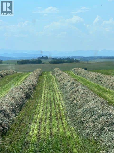 177 Avenue — Rural Foothills County, Alberta - Photo 3 of 10