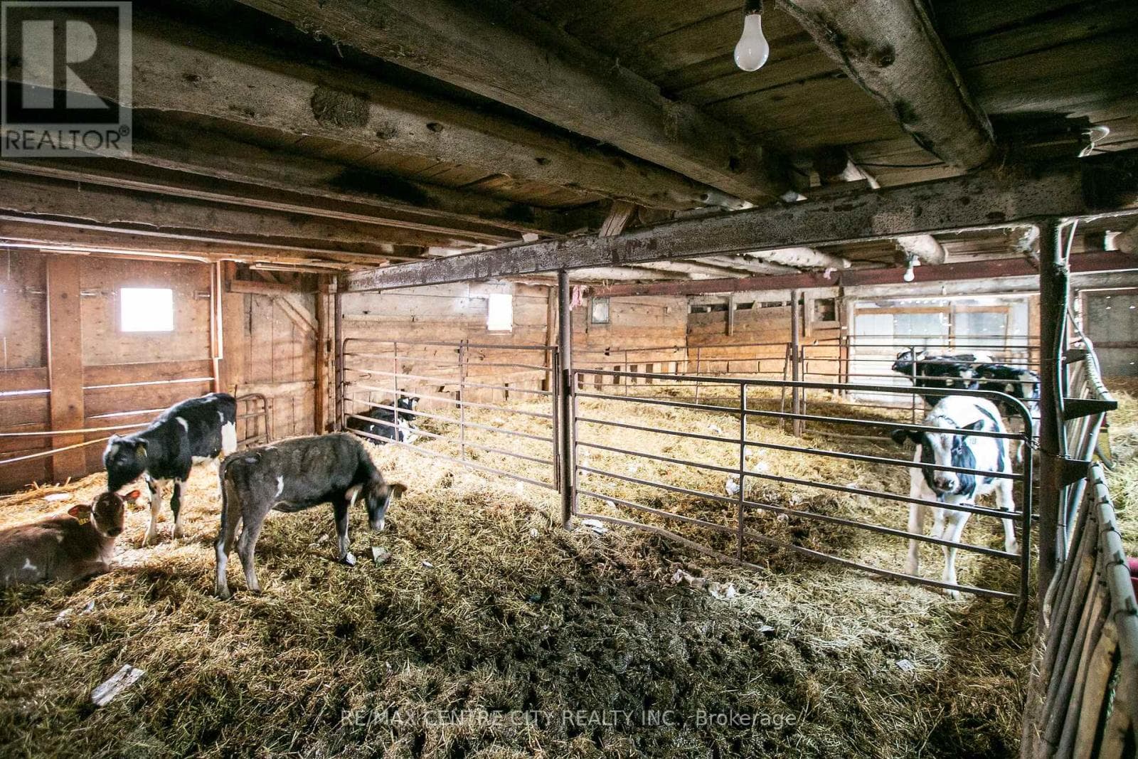 197166 GREY ROAD 7 — Meaford, Ontario - Main photo