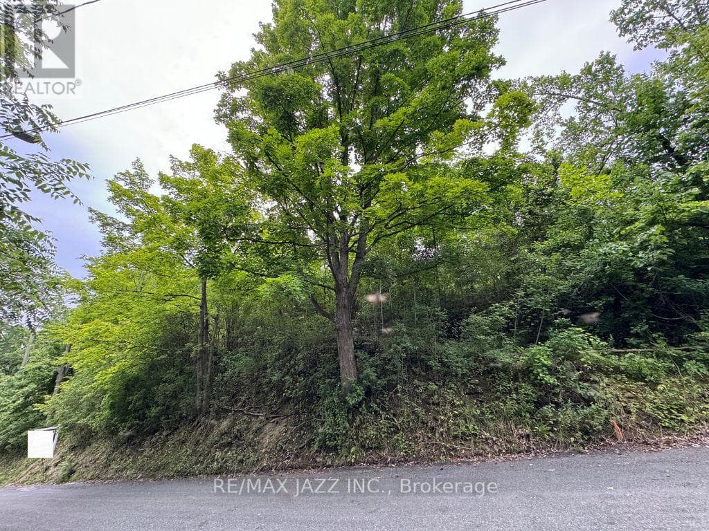 0 MAPLE STREET — Trent Hills (Campbellford), Ontario - Main photo