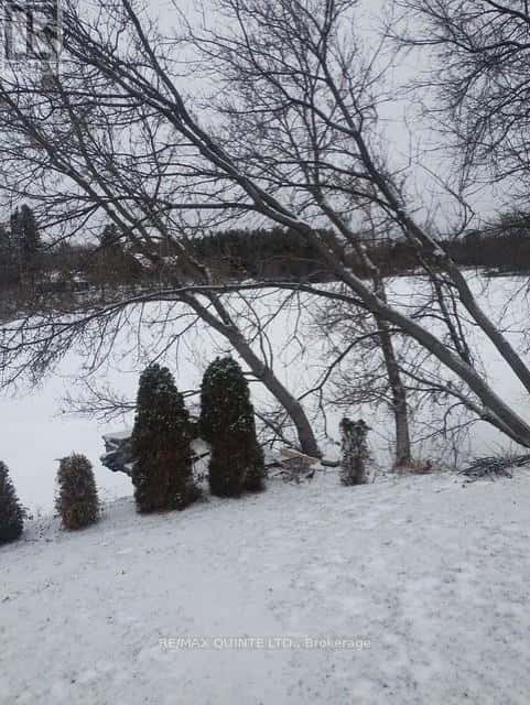 81 SCUTTLEHOLE ROAD — Belleville (Thurlow Ward), Ontario - Photo 4 of 23