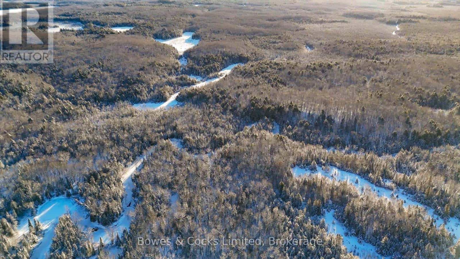 PT LT 3 CONCESSION 6 — North Kawartha, Ontario - Photo 5 of 8