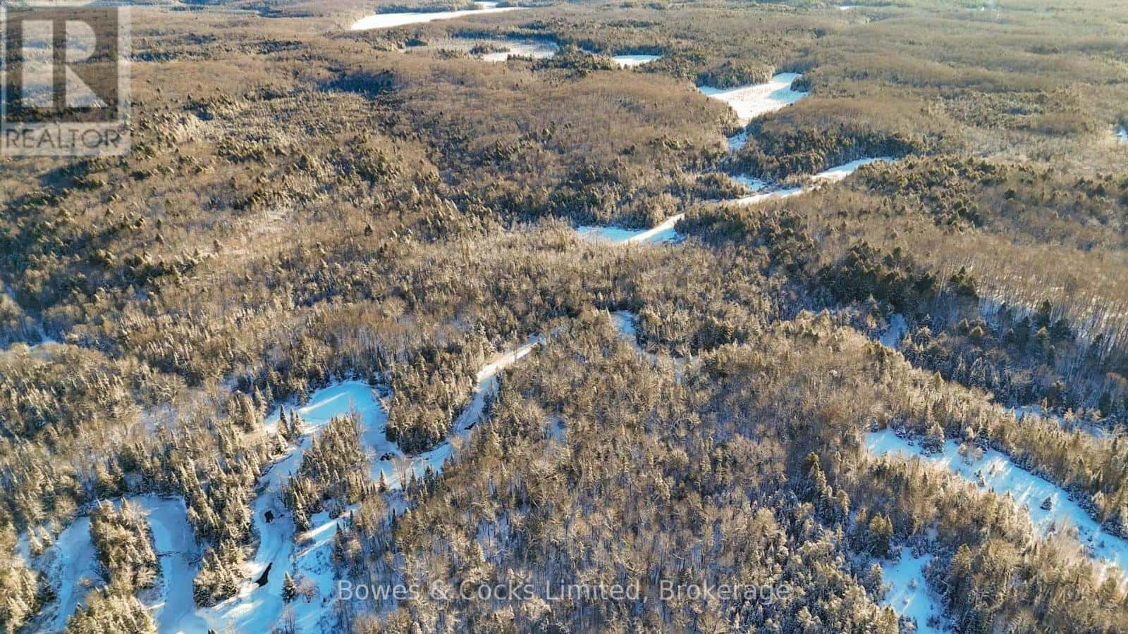 PT LT 3 CONCESSION 6 — North Kawartha, Ontario - Photo 4 of 8