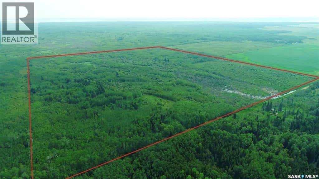 Recreational quarter of land N-E of White Fox — Torch River Rm No. 488, Saskatchewan - Photo 3 of 62