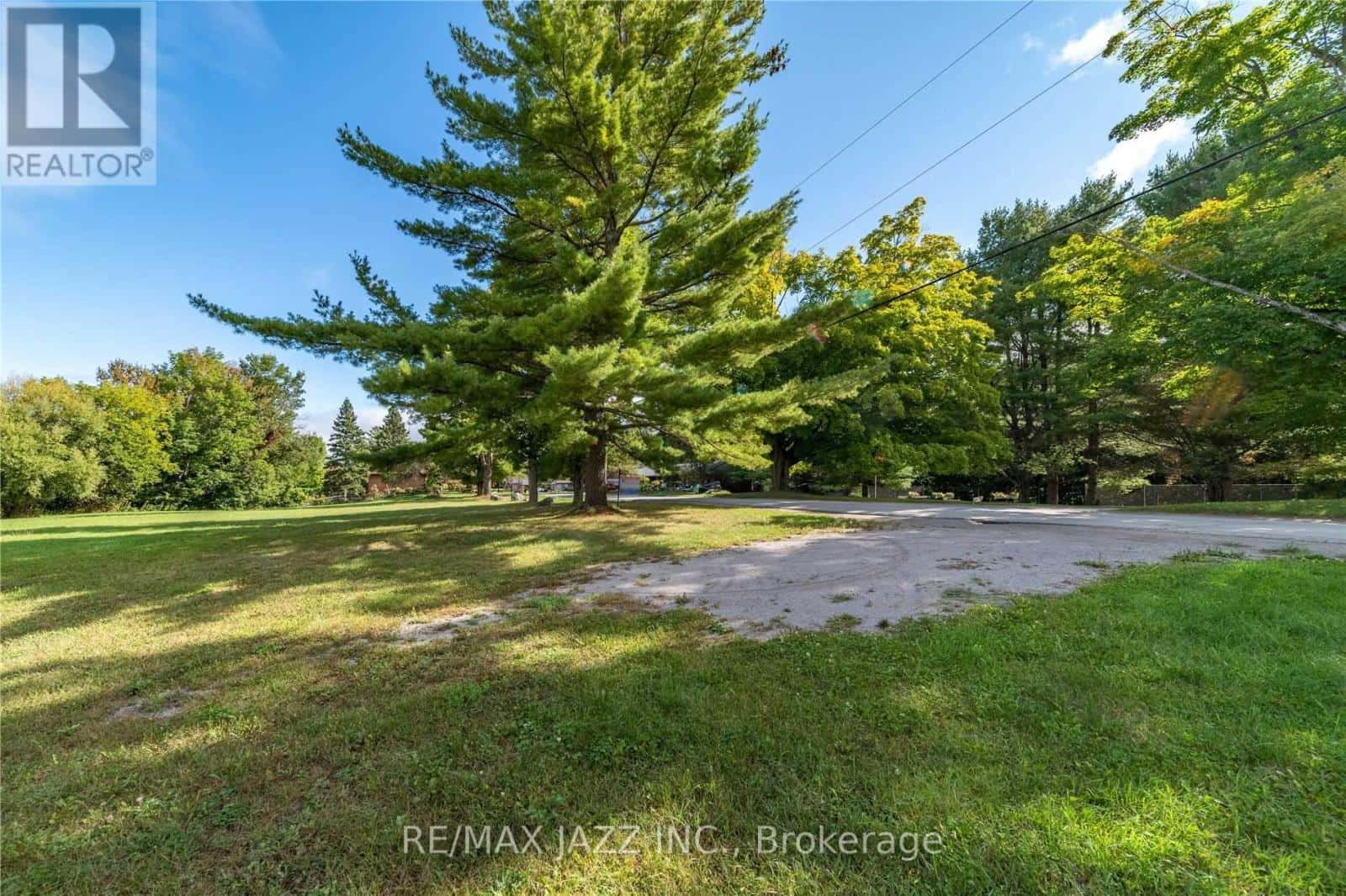 LOT 17 GRANDY ROAD — Kawartha Lakes (Bexley), Ontario - Photo 4 of 31