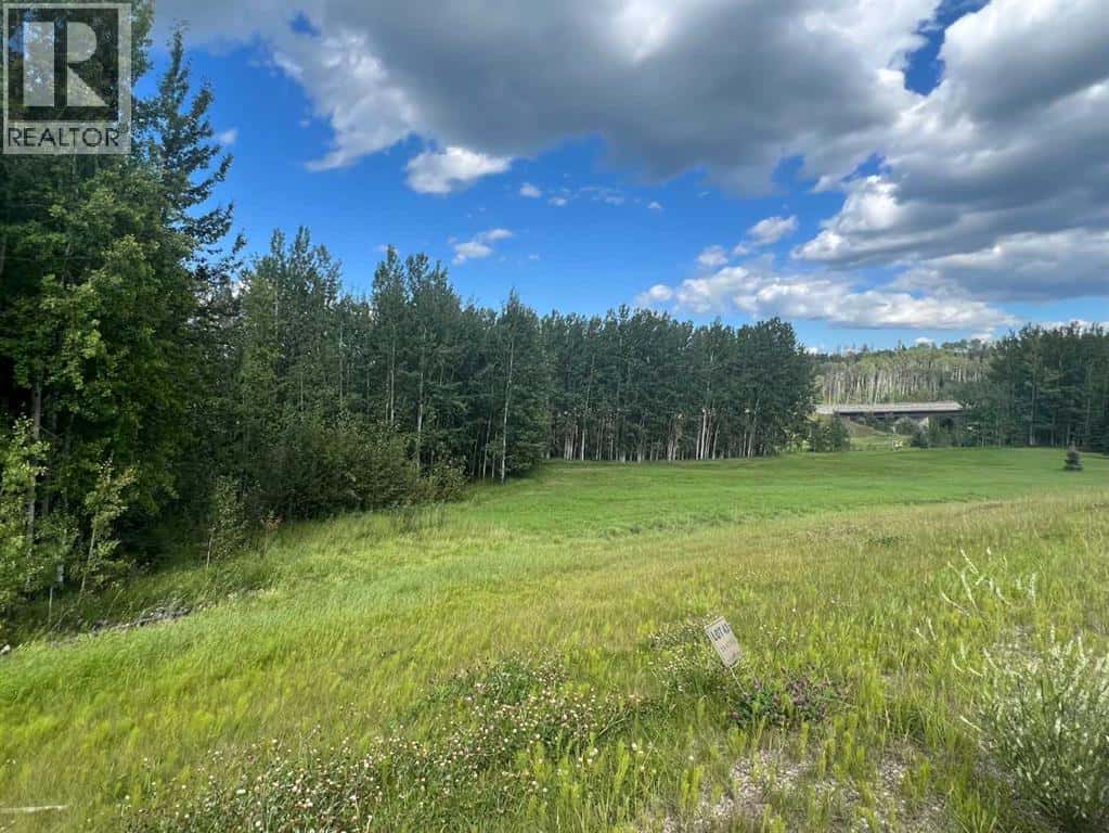 #43 River Ridge Estates — Rural Yellowhead County, Alberta - Photo 4 of 12