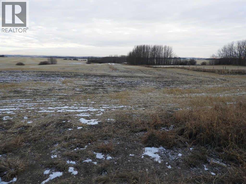 Near Clive — Rural Lacombe County, Alberta - Photo 2 of 4