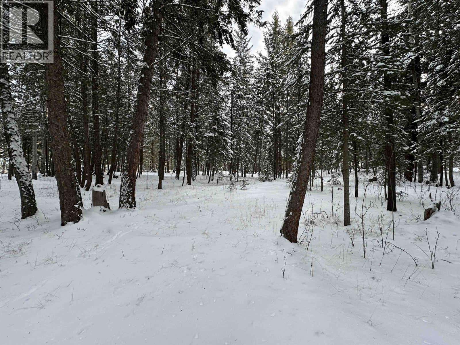 6159 LONE BUTTE-HORSE LAKE ROAD — Lone Butte, British Columbia - Photo 4 of 68