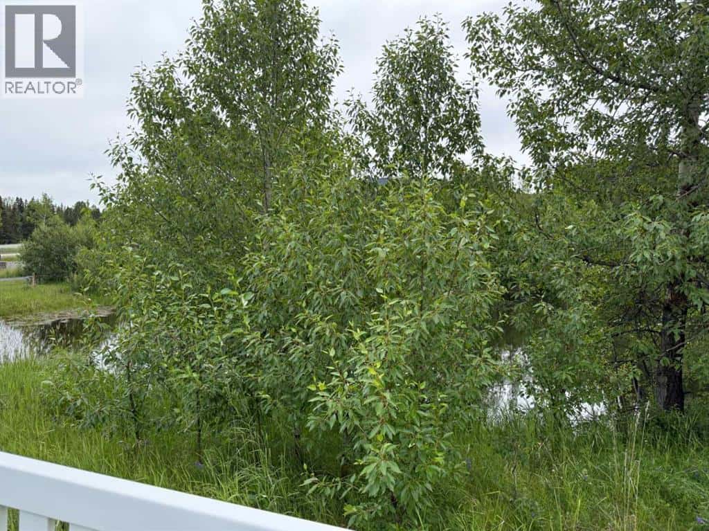 331 Elizabeth Avenue — Nordegg, Alberta - Photo 3 of 4