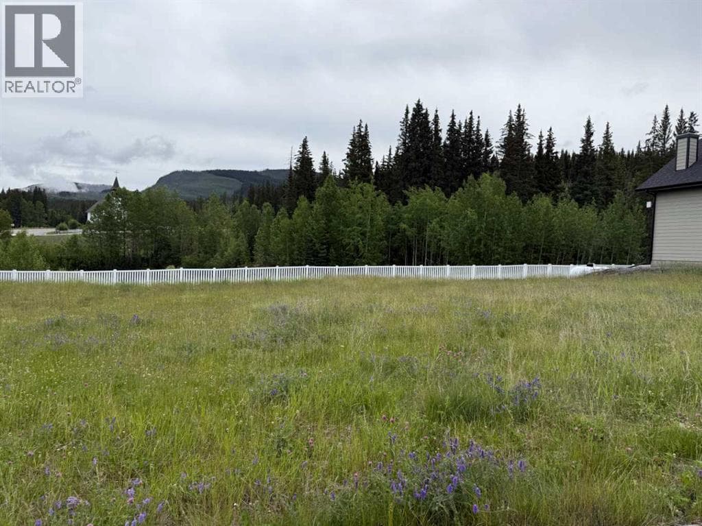 343 Elizabeth Avenue — Nordegg, Alberta - Main photo