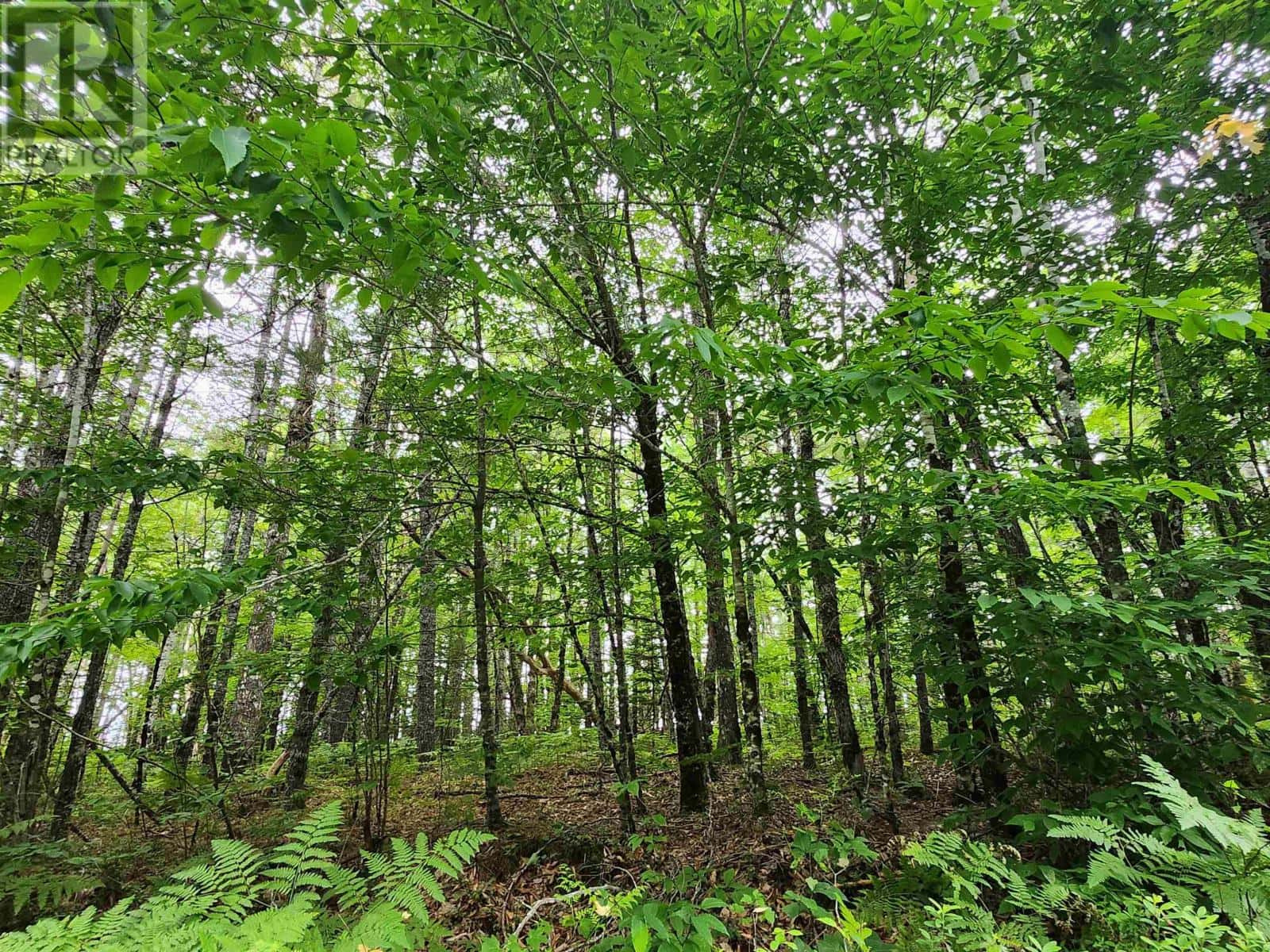 Lot 73 Baker Point Road — Molega, Nova Scotia - Photo 3 of 10