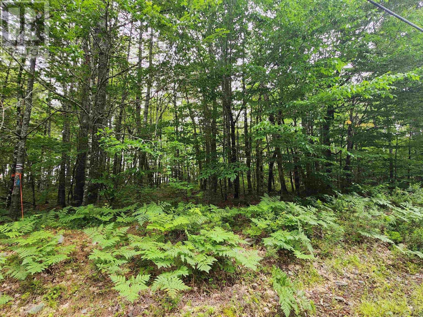 Lot 73 Baker Point Road — Molega, Nova Scotia - Photo 4 of 10