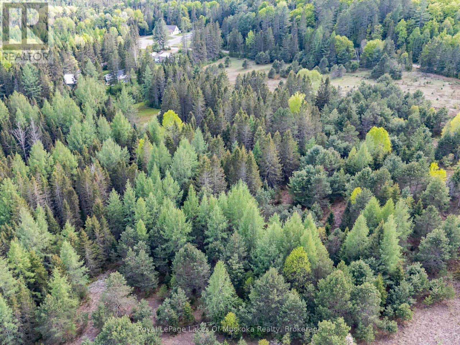 397 RELATIVE ROAD — Armour, Ontario - Photo 4 of 7