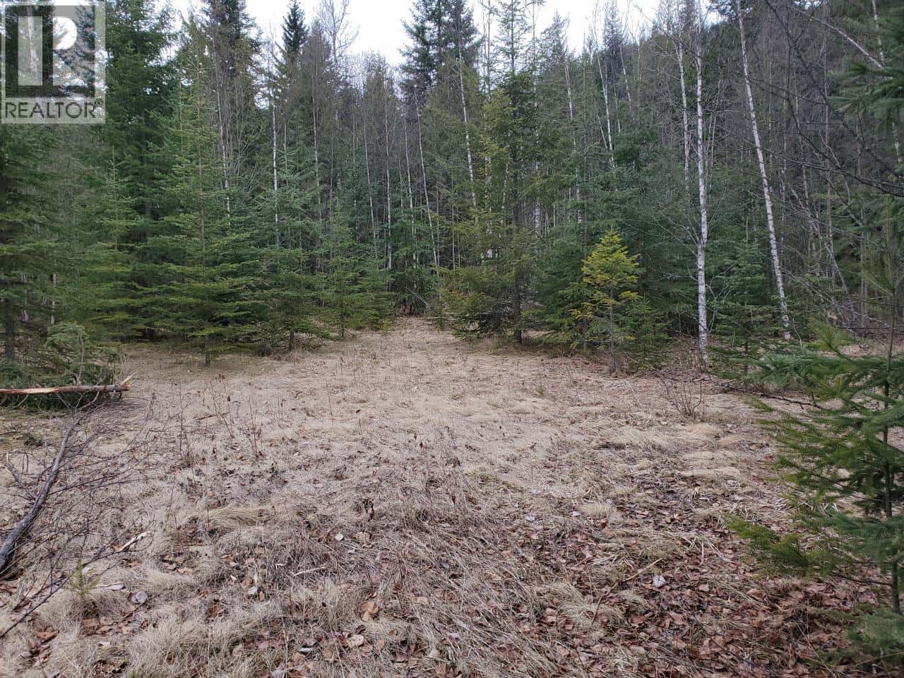 657 HOIRUP Road — Clearwater, British Columbia - Photo 4 of 9