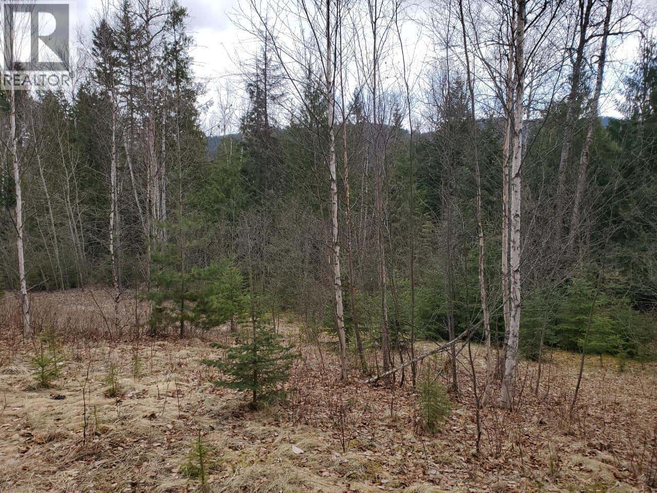 657 HOIRUP Road — Clearwater, British Columbia - Photo 2 of 9