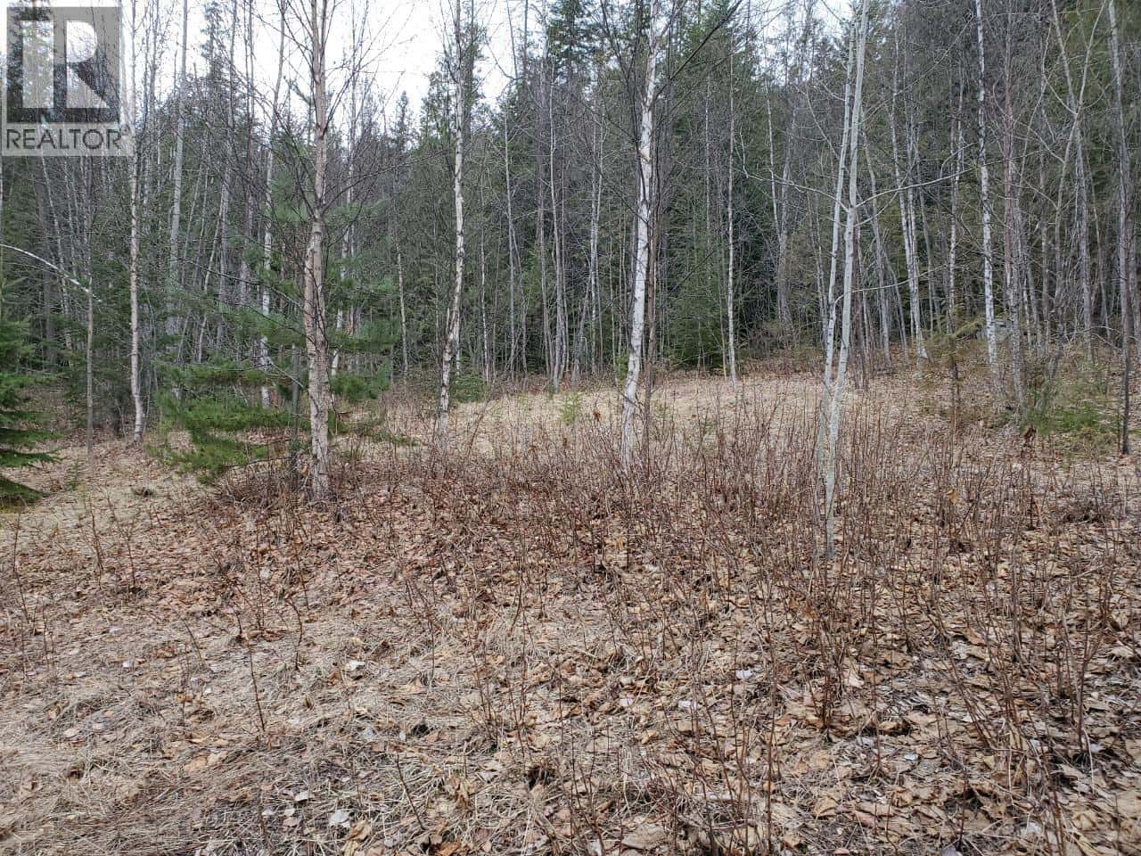 657 HOIRUP Road — Clearwater, British Columbia - Photo 3 of 9