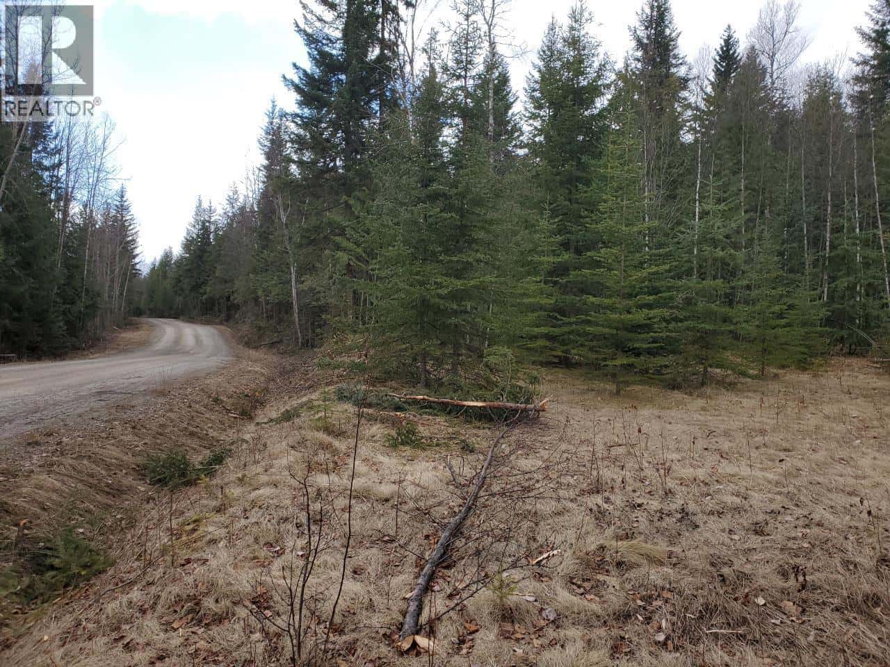 657 HOIRUP Road — Clearwater, British Columbia - Photo 5 of 9