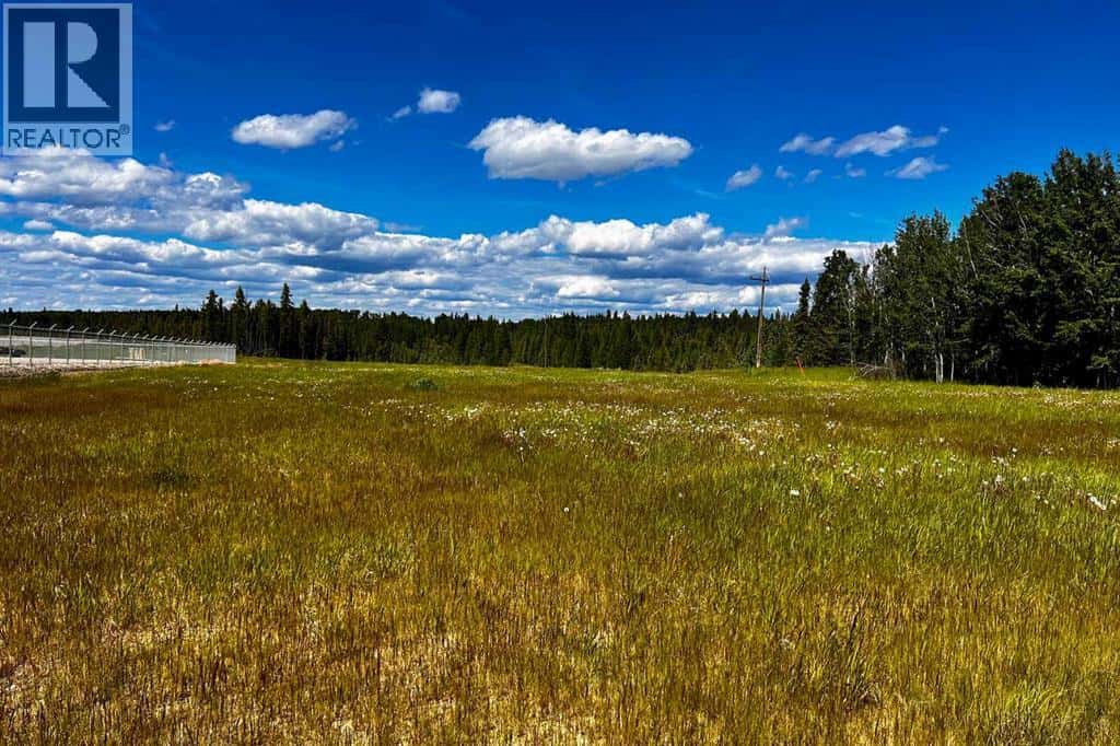 4208 52A Avenue — Rocky Mountain House, Alberta - Photo 2 of 5