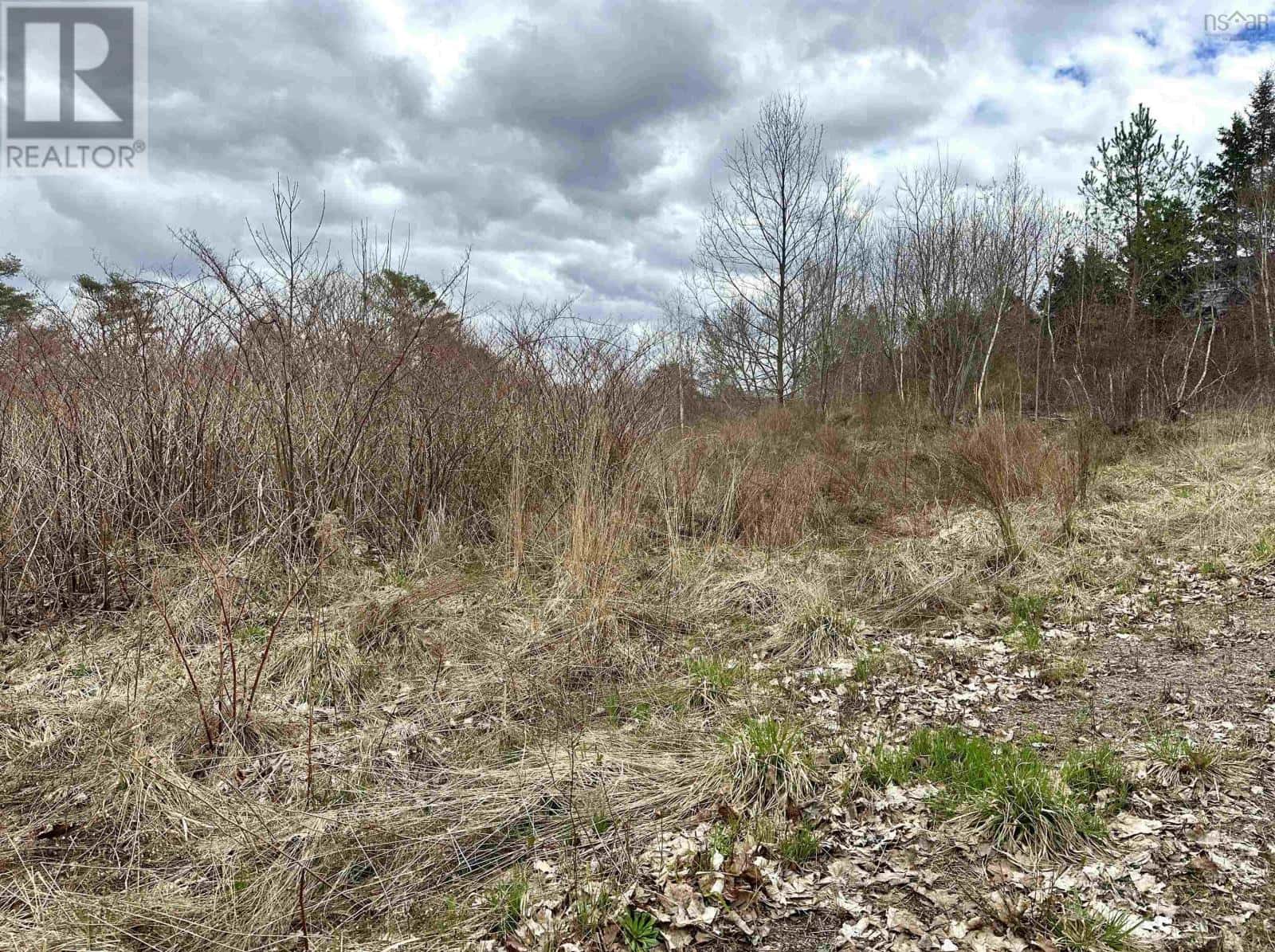 71 Wickwire Avenue — Wolfville, Nova Scotia - Photo 4 of 5