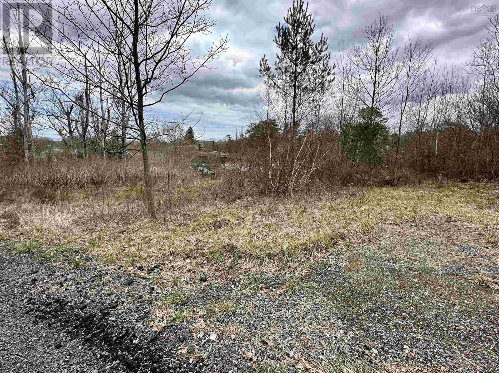 71 Wickwire Avenue — Wolfville, Nova Scotia - Photo 2 of 5