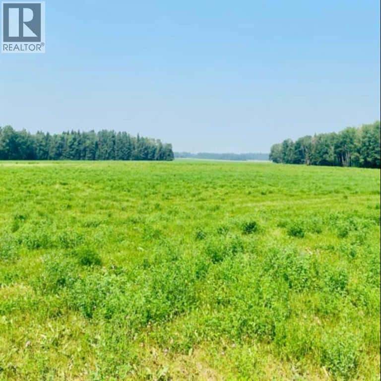 On Range Road 6-0 — Rural Clearwater County, Alberta - Photo 2 of 5