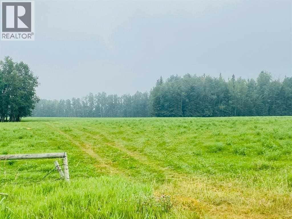 On Range Road 6-0 — Rural Clearwater County, Alberta - Photo 3 of 5