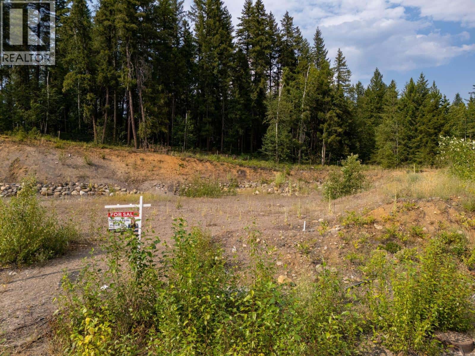 465 LYTTON Crescent — Clearwater, British Columbia - Photo 5 of 25