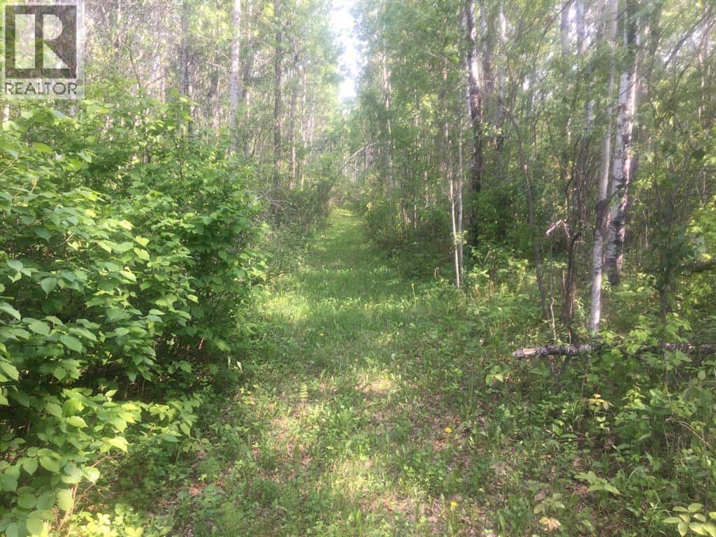 224002 Township Road 654 — Rural Athabasca County, Alberta - Photo 5 of 8